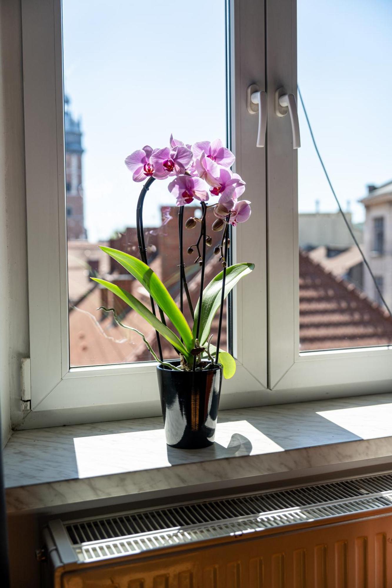 Vista View Apartment Cracovia Esterno foto
